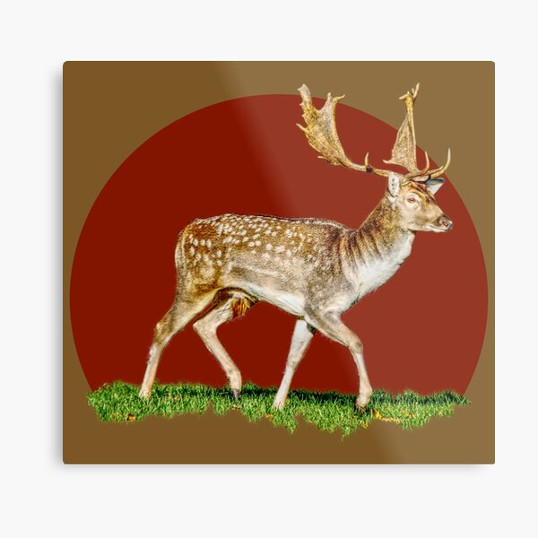 Hirsch Metal Print