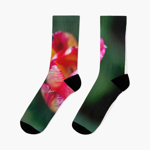 Item preview, Colorful tulip on nature background designed and sold by olena2552.