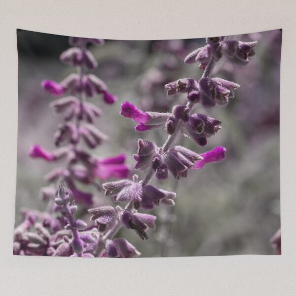 Item preview, Mexican Bush Sage 3 designed and sold by Jacquiamber.