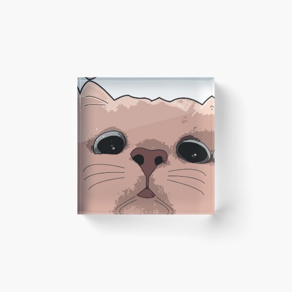 Item preview, cute cat meme confuse face designed and sold by thebunga.