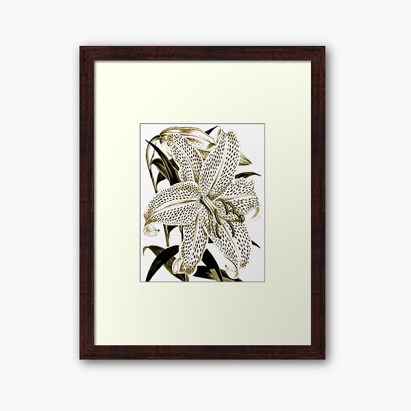 Item preview, Lily ~ Vintage Botanical Illustration designed and sold by dholland57.