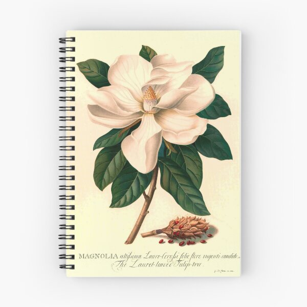 Item preview, Magnolia Vintage flor ilustración ~ Circa 1855 designed and sold by dholland57.