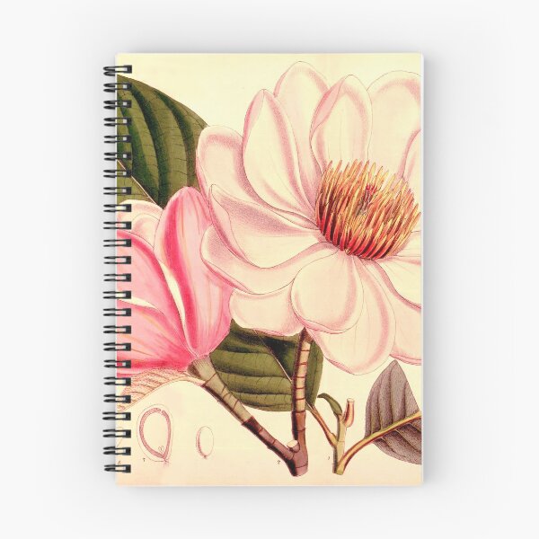 Item preview, Magnolia Vintage Illustration ~ Circa 1855 designed and sold by dholland57.