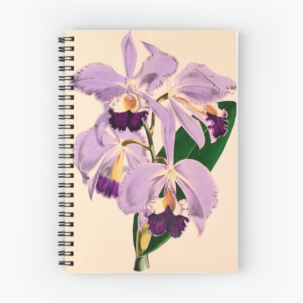 Item preview, Orchids Vintage ~ Circa 1857-1862 designed and sold by dholland57.