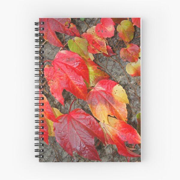 Item preview, Autumn Leaves designed and sold by RedHillDigital.