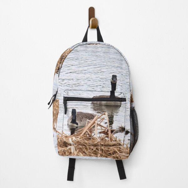 Item preview, Would this be a fine place. Canada goose designed and sold by Jouko Lehto Photography.