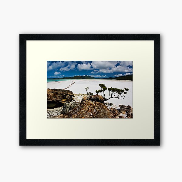Framed Art Print