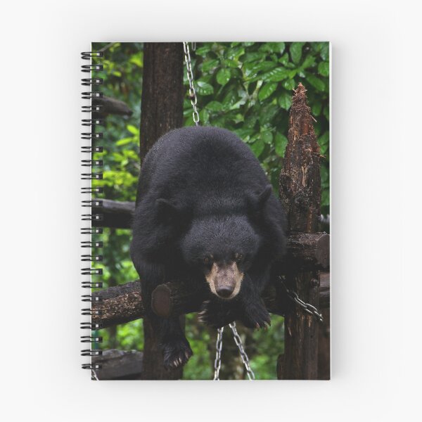 Item preview, The Black Bear - Luang Prabang, Laos.  designed and sold by Tiffany Lenoir.