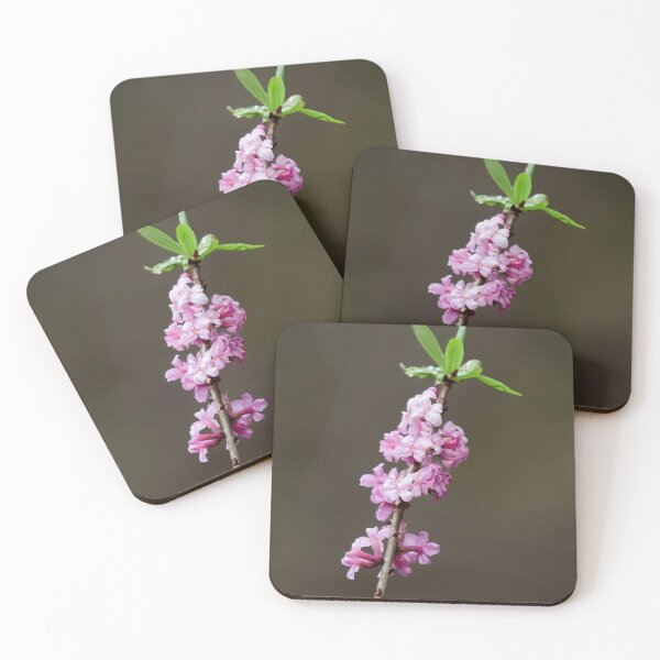 Item preview, Sueños rosas. febrero dafne designed and sold by Jouko Lehto Photography.