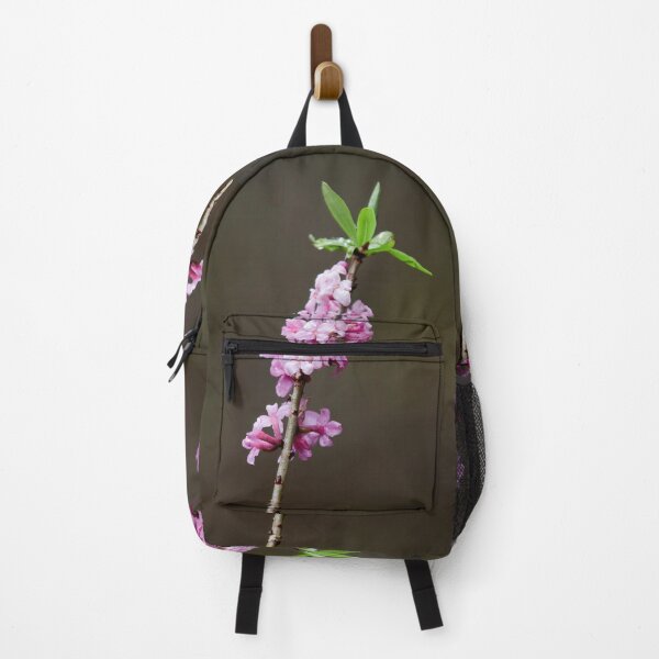 Item preview, Pink dreams. February daphne designed and sold by Jouko Lehto Photography.