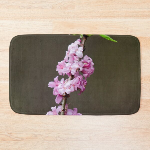 Item preview, Pink dreams. February daphne designed and sold by Jouko Lehto Photography.