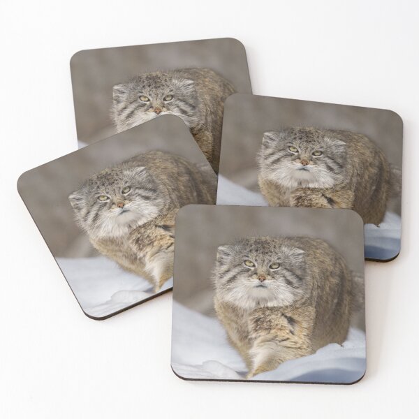 Item preview, Pallas Cat in the snow designed and sold by rawshutterbug.