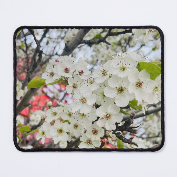 Item preview, Blossoms  designed and sold by Talia1997.