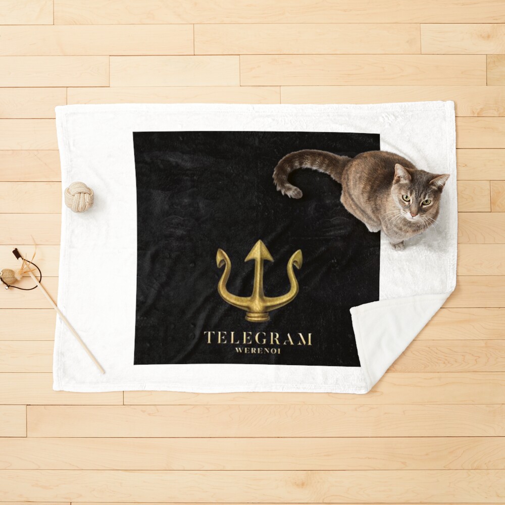 Lauren cat telegram