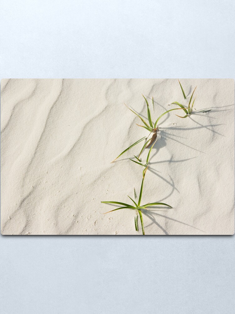 Alternate view of Hard Life Metal Print