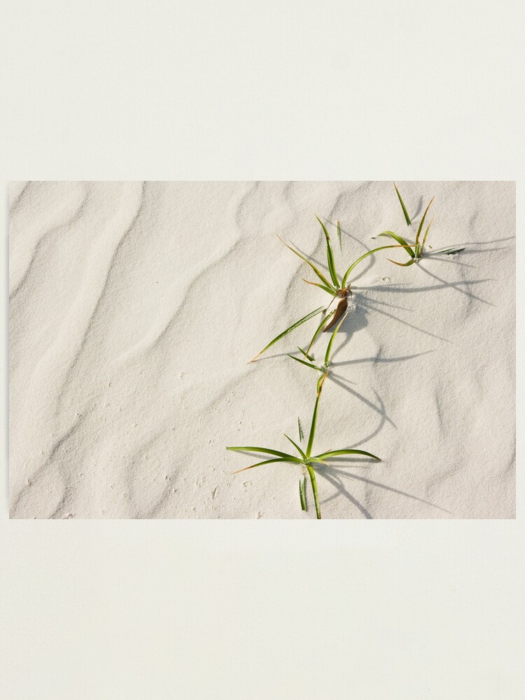 Alternate view of Hard Life Photographic Print