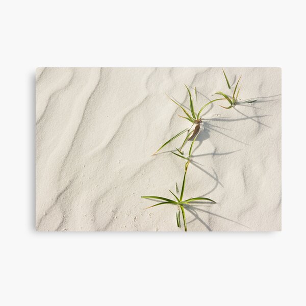 Hard Life Metal Print