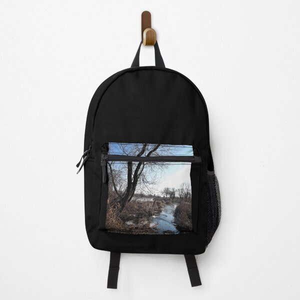 Item preview, An Icy Stream designed and sold by Scott and Mary Schneider art_photography.