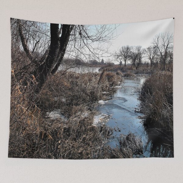 Item preview, An Icy Stream designed and sold by Scott and Mary Schneider art_photography.