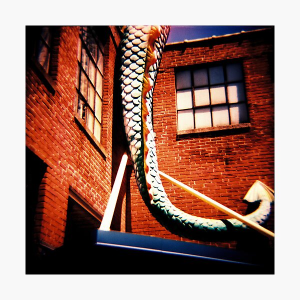 The Wonderment of Youth Photographic Print