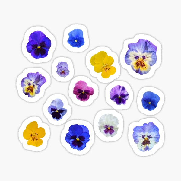 Item preview, pansy pattern designed and sold by otterguppy.