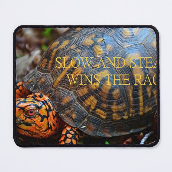 Item preview, Slow And Steady Wins The Race  designed and sold by LisaWootenPhoto.