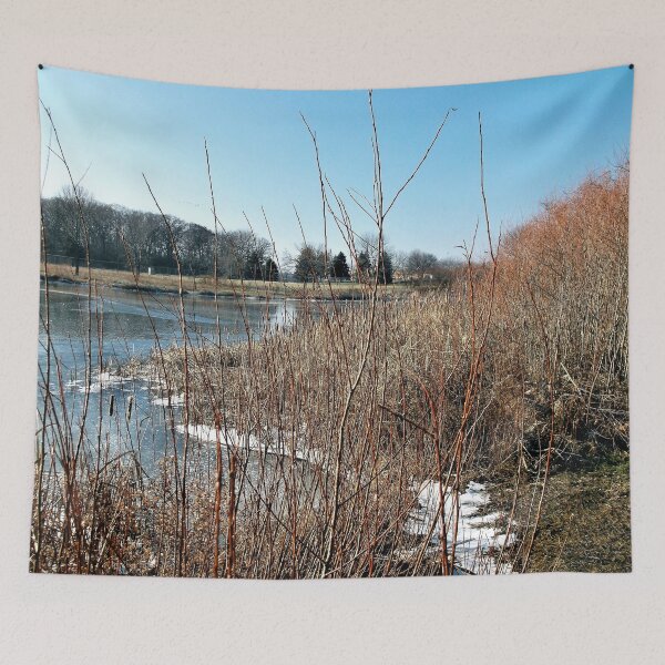 Item preview, At the Pond in December designed and sold by Scott and Mary Schneider art_photography.