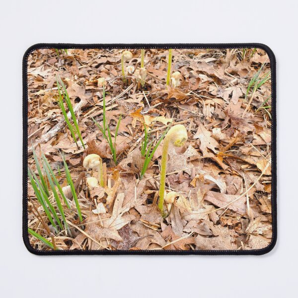 Item preview, Fiddleheads  designed and sold by etherealwonders.