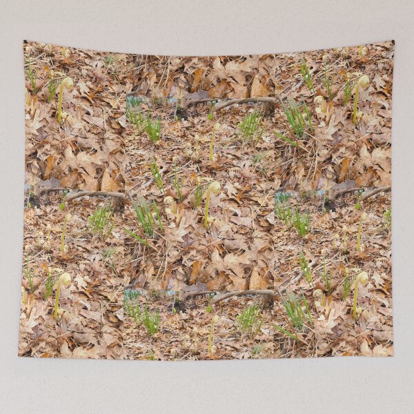 Item preview, Fiddleheads  designed and sold by etherealwonders.