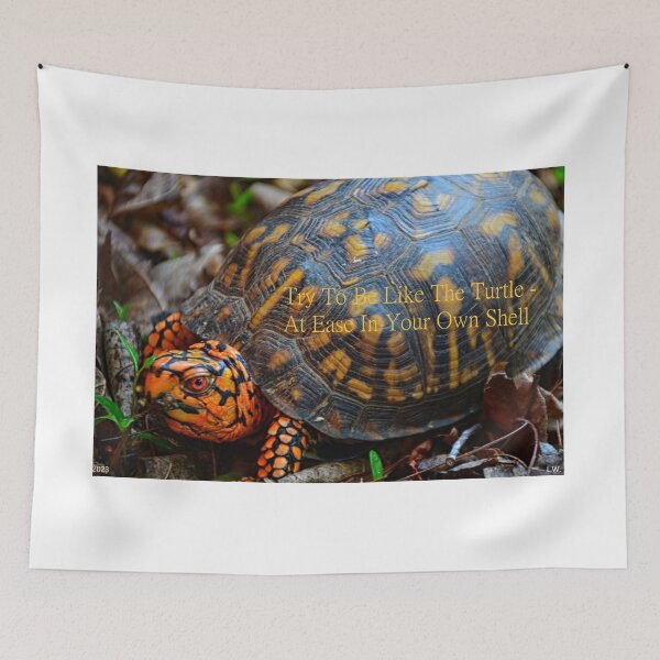 Item preview, At Ease In Your Own Shell designed and sold by LisaWootenPhoto.