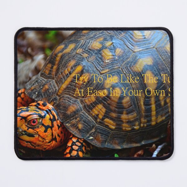 Item preview, At Ease In Your Own Shell designed and sold by LisaWootenPhoto.