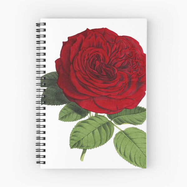 Item preview, Red rose designed and sold by LIDYN.
