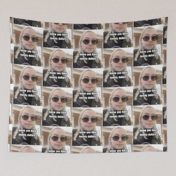 Item preview, i know you have $20 phoebe bridgers meme designed and sold by MarcusReeda.