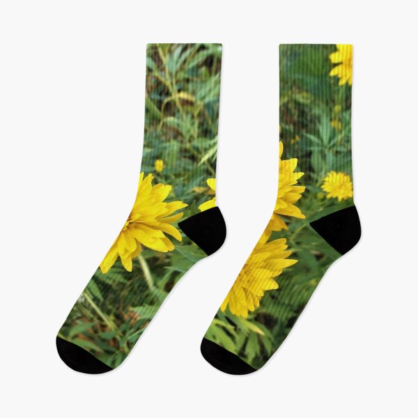 Item preview, Grandma's Yellow Coreopsis designed and sold by Scott and Mary Schneider art_photography.
