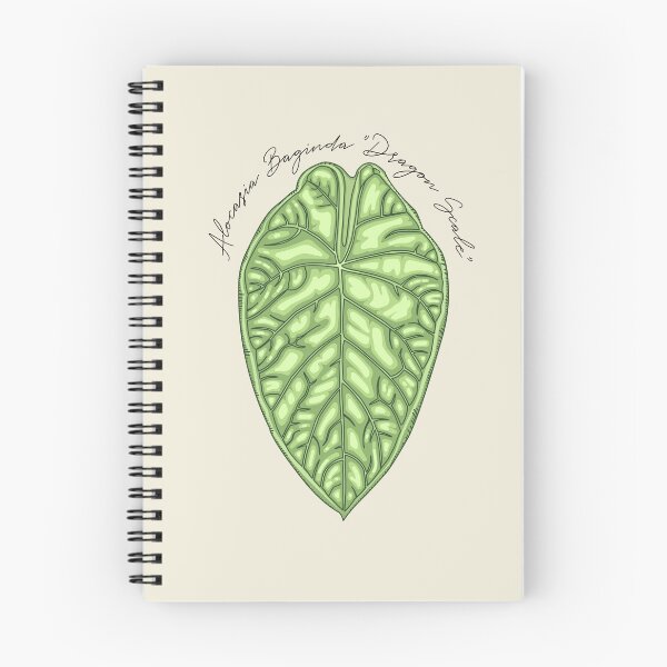 Item preview, Alocasia Baginda "Dragon Scale" Vector Art designed and sold by TASORA.
