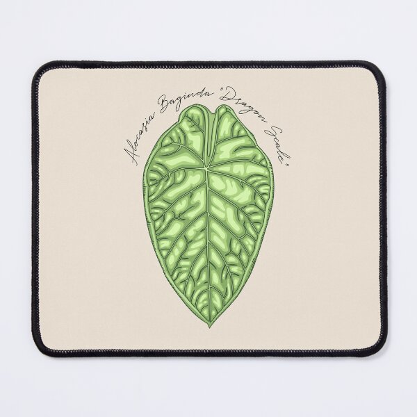 Item preview, Alocasia Baginda "Dragon Scale" Vector Art designed and sold by TASORA.