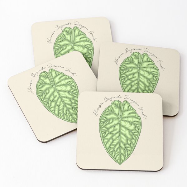 Item preview, Alocasia Baginda "Dragon Scale" Vector Art designed and sold by TASORA.