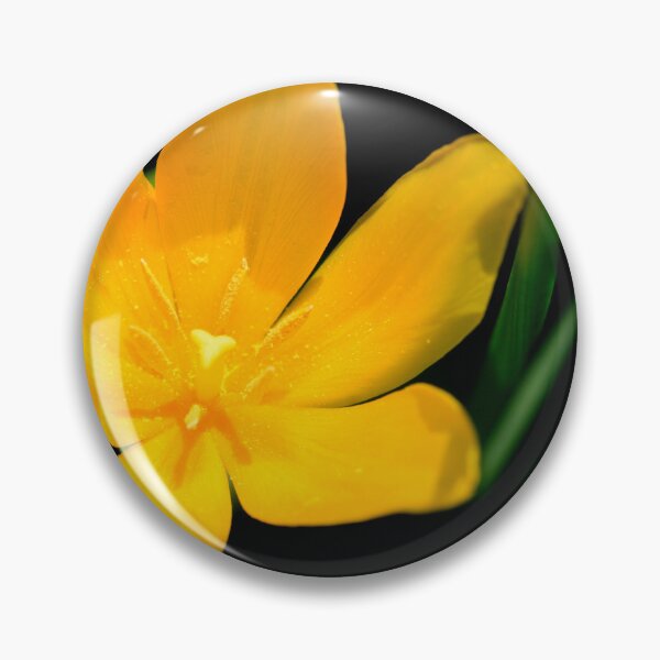 Item preview, Yellow tulip on black background designed and sold by olena2552.