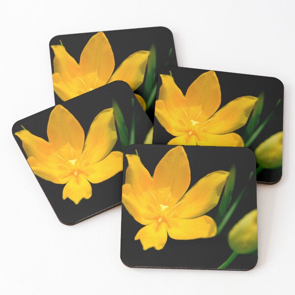 Item preview, Yellow tulip on black background designed and sold by olena2552.