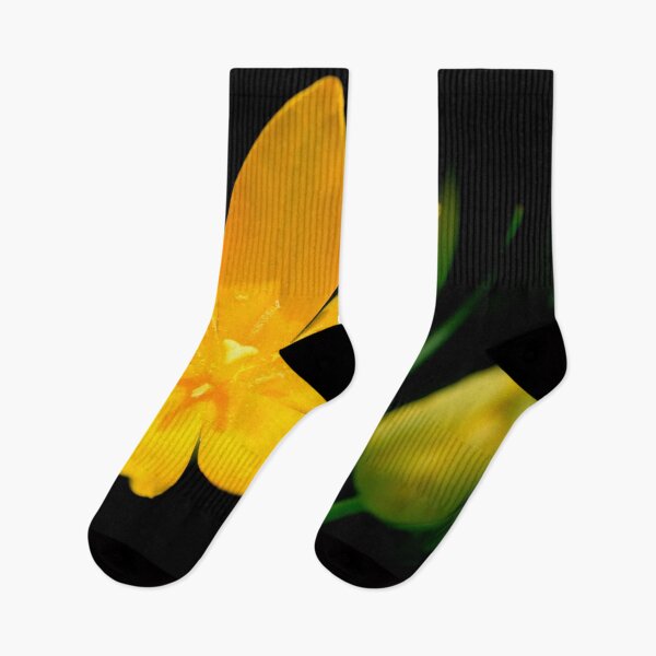 Item preview, Yellow tulip on black background designed and sold by olena2552.