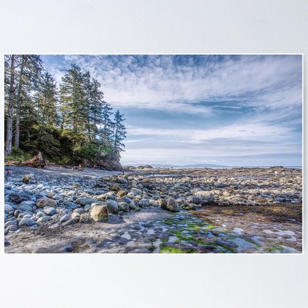 Item preview, Botanical Beach Vancouver Island designed and sold by Ernie Steven Dickey.