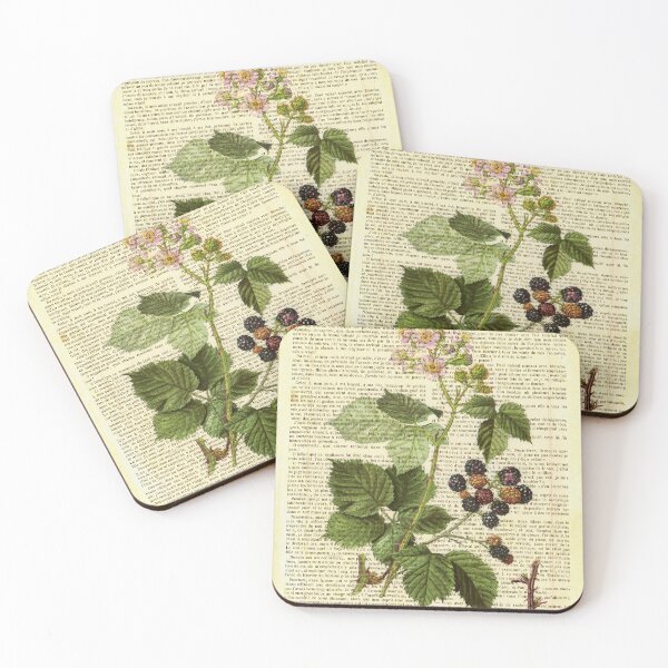 Item preview, Botanical print, on old book page - Blackberry designed and sold by Art by Lilia.