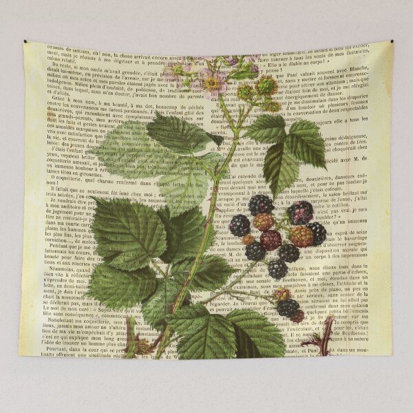 Item preview, Botanical print, on old book page - Blackberry designed and sold by Art by Lilia.