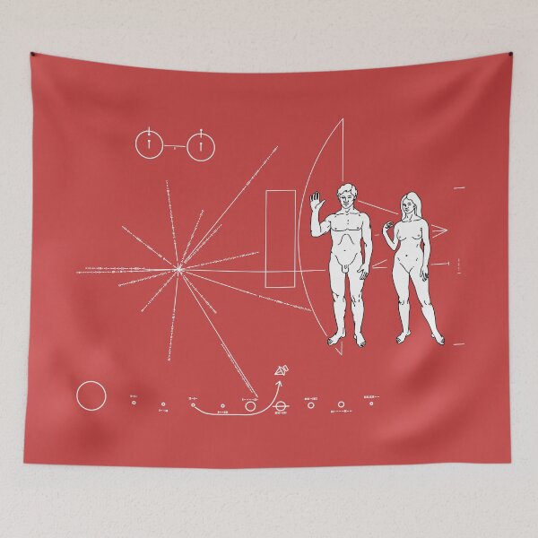 Item preview, Pioneer plaque Too small ! designed and sold by Manikool.
