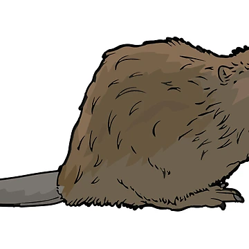 Artwork thumbnail, Beaver by brokecollegefella