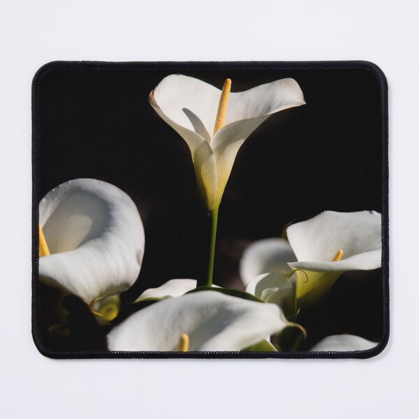 Item preview, Wild Sword Lilies designed and sold by Alla Gill.