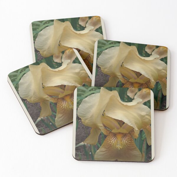 Item preview, Shades of Cream and Brown Iris designed and sold by CarolBeeDesigns.