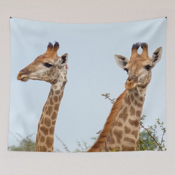 Item preview, Two Giraffes Portrait designed and sold by SafariByMarisa.