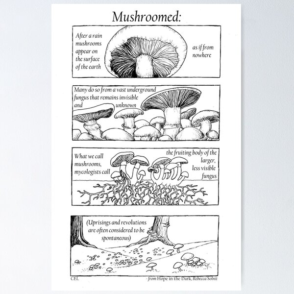 Item preview, Mushroomed Rebecca Solnit Comic designed and sold by quakeandquiver.