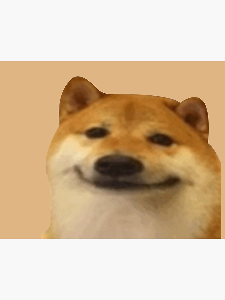 You Know What I MEME? Funny Doge Meme – That's Funny Stuff